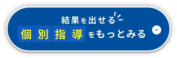 結果を出せる個別指導をもっと見る